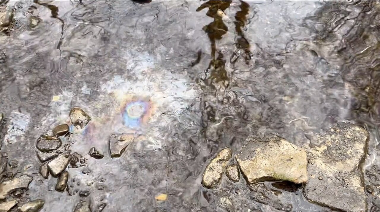 Sen JD Vance Shows The Chemicals In East Palestine, OH Creek