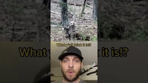 Paranormal Creature in Woods #fyp #nightgod333 #shorts #foryou