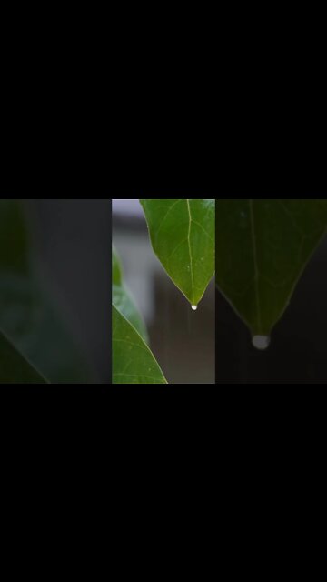 Som de chuva relaxante