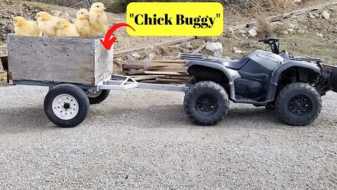 How we plan to move 200 Chickens.