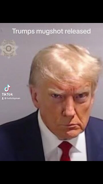 Trumps Mugshot released