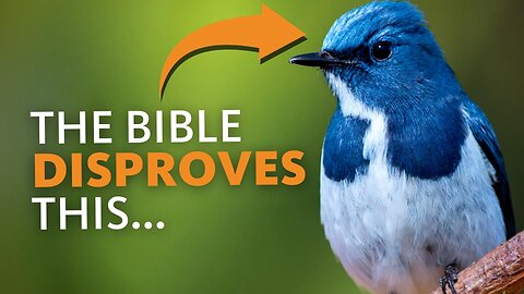 Do Evolutionists Really Believe This about Birds?