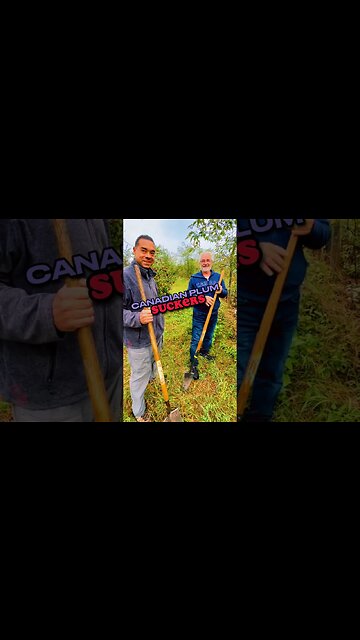 NATURE’S Hopeful SAPLINGS! #gardening #homesteader #homesteading #permaculture #farming #fruit