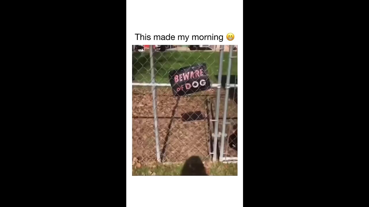 Beware of dogs