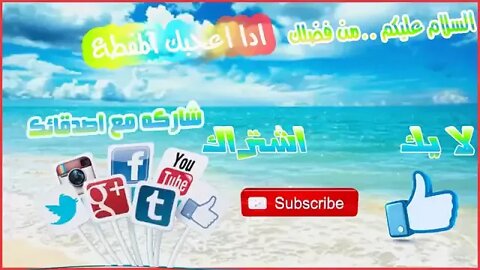 عجائب وطراف الحيوانات اسد يقتل نسرا حتي يكون عبره للاخرين