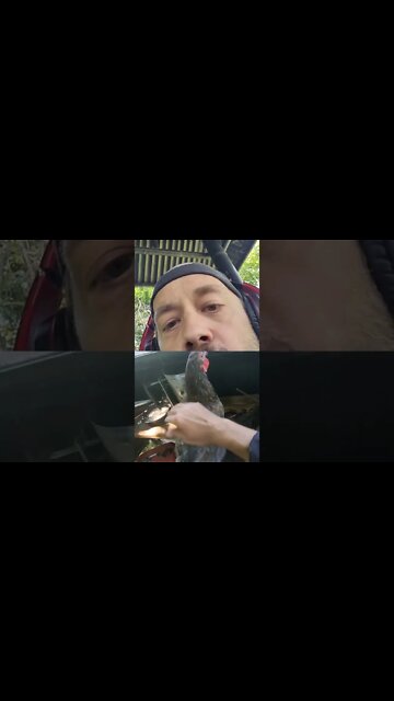 Sharing lunch with my chics. #seehowthatworks #wagschicago