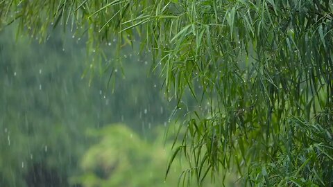 Rain for Sleep, Relaxing, Stress Relief, Relaxing, Focus or Deep Sleep, Nature White Noise