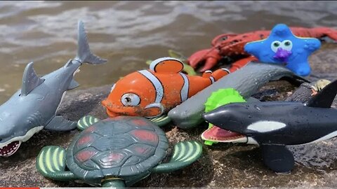Sea animals Toys video/ Toys video for kids
