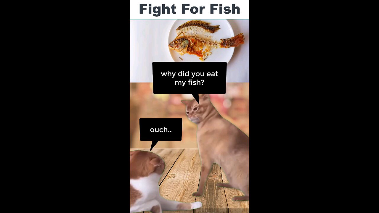 cats fighting for fish