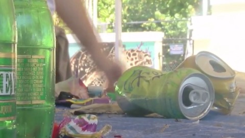 Holiday trash cleared from from around turtle nests