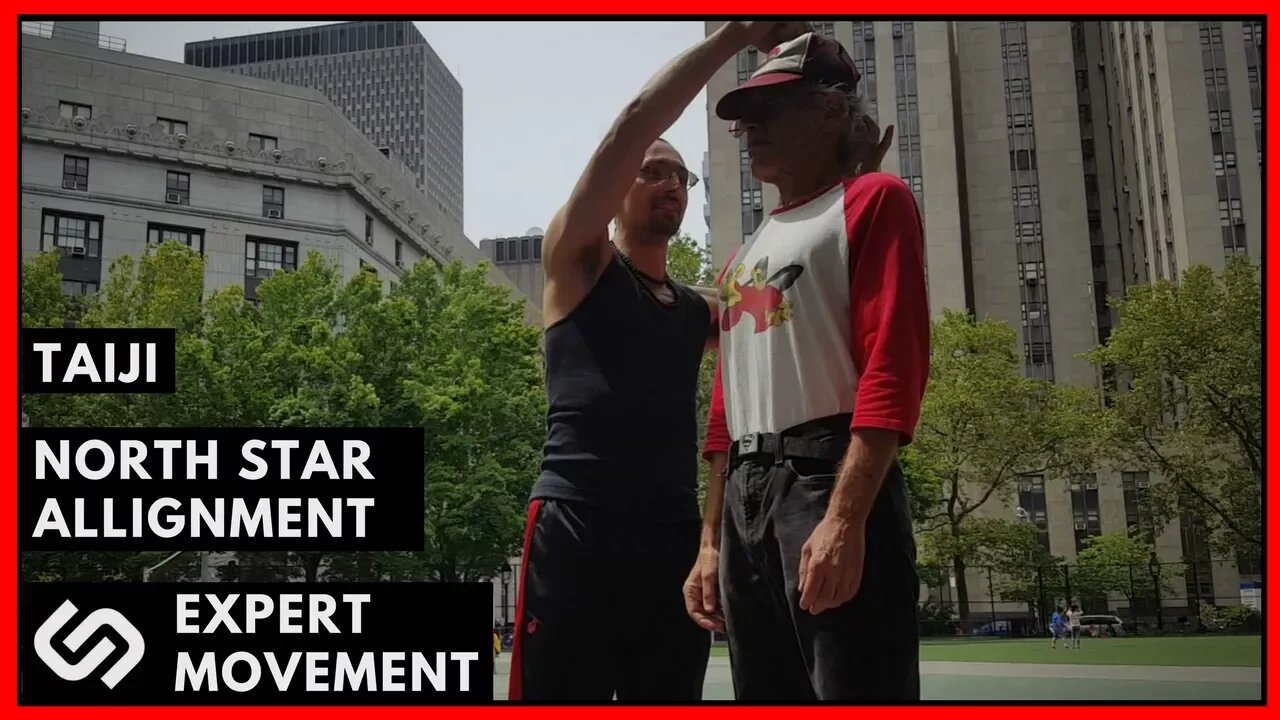 North Star Alignment ☯ Instant Posture Fix ☯ Improve Your Taiji Chuan and Fajing Patrice