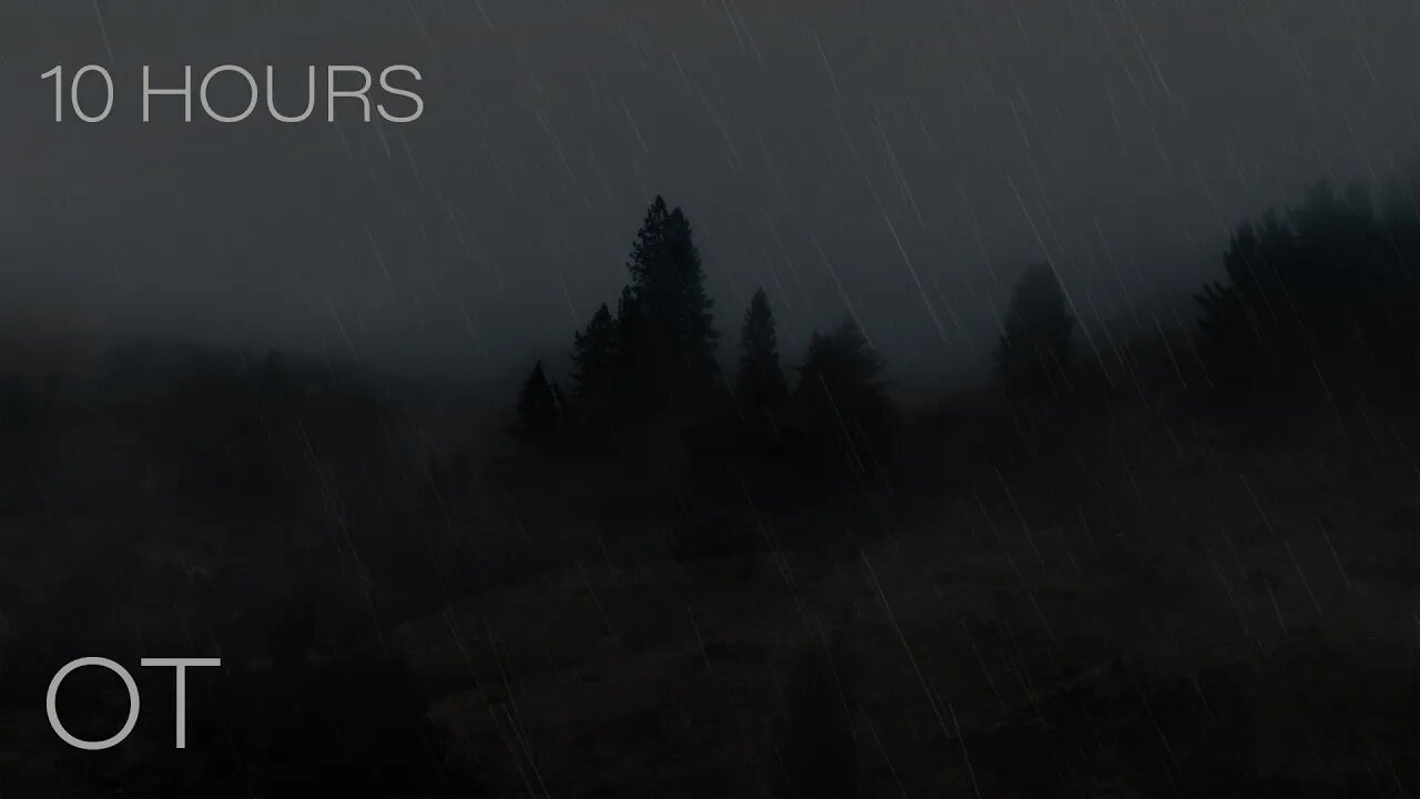 Background Rain in the Woods | Steady Rain Sounds for Relaxation | Stuying | Sleeping | 10 HOURS