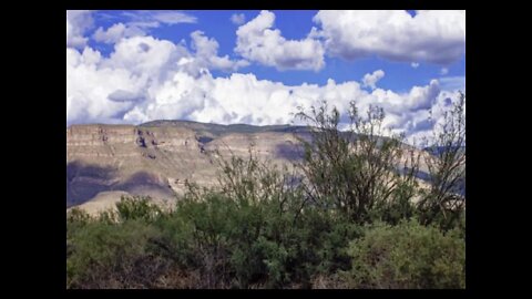 LIVE 6000ft New Mexico Remote June 2021