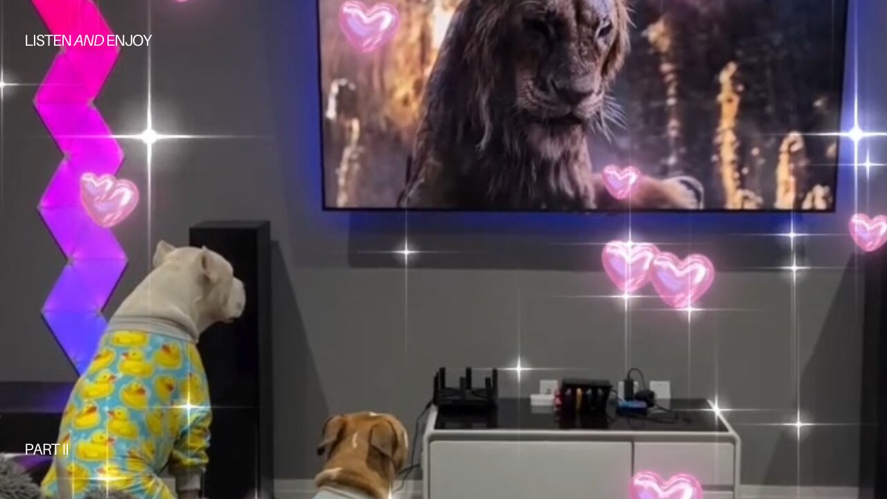 "How Two Curious Pitbulls Reacted to Watching a Majestic Lion on TV!"