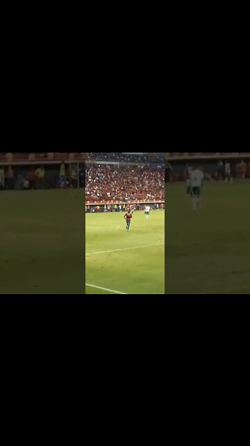 TORCEDOR INVADE O CAMPO PARA ABRAÇAR VITINHO!!!