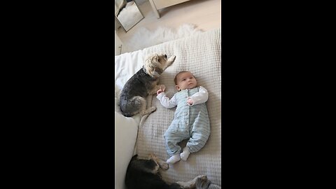 so cute video very nice song