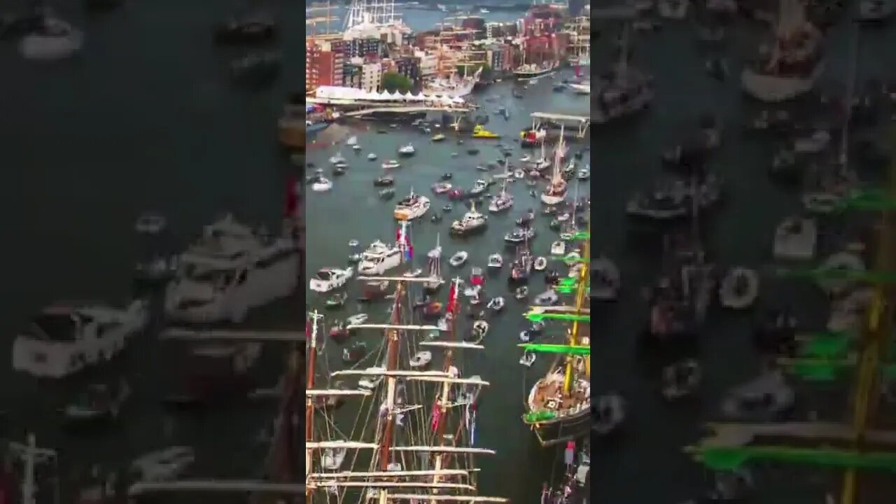 High traffic at Amsterdam during its SAIL Event #shorts #boats #Amsterdam