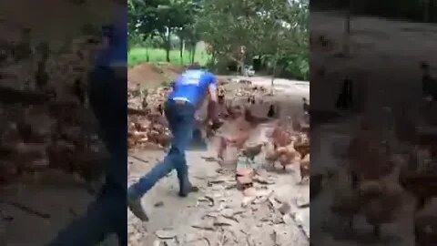 E ASSIM QUE SE PEGA UM FRANGO !!! [ VIRAL 2021 ] MUITO TOP !!!