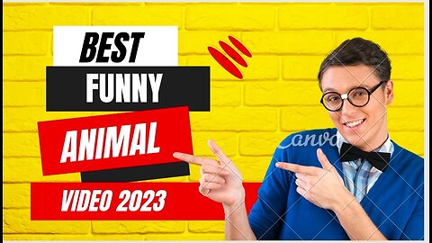 Funny animal video|funniest video ever
