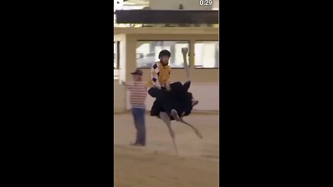 funny video
