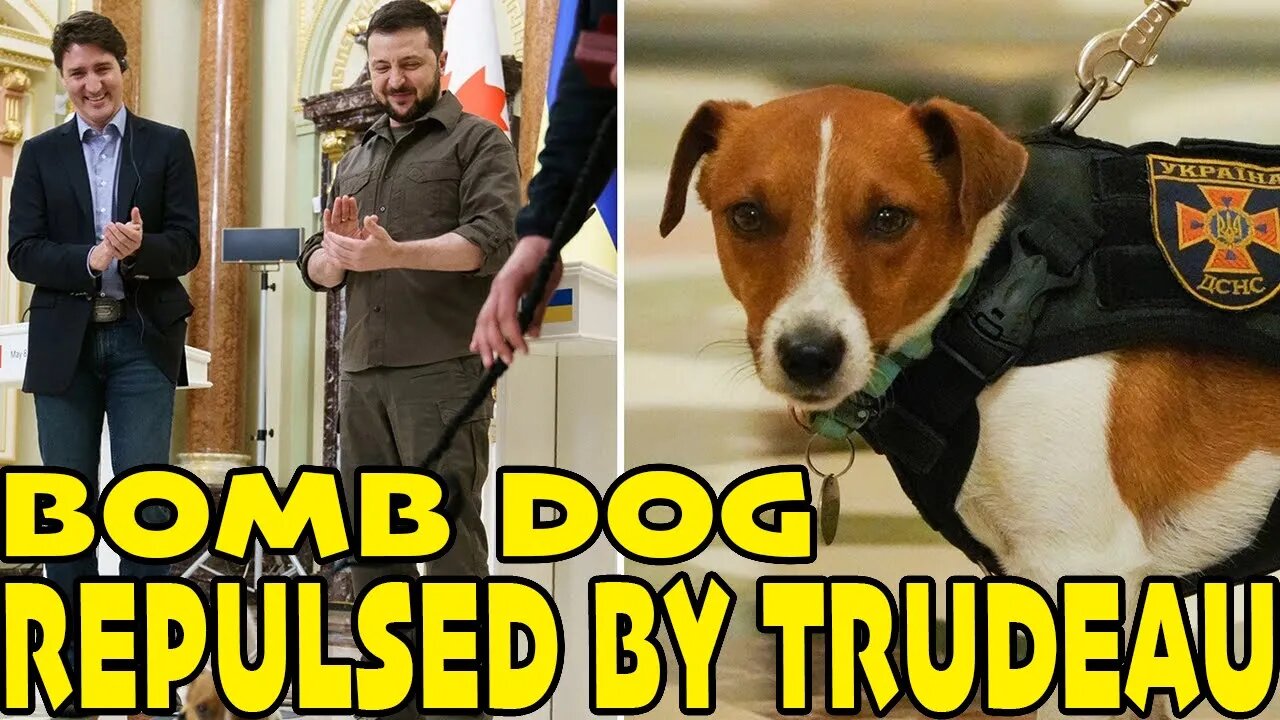 Ukraine BOMB DOG Barks At TRUDEAU!