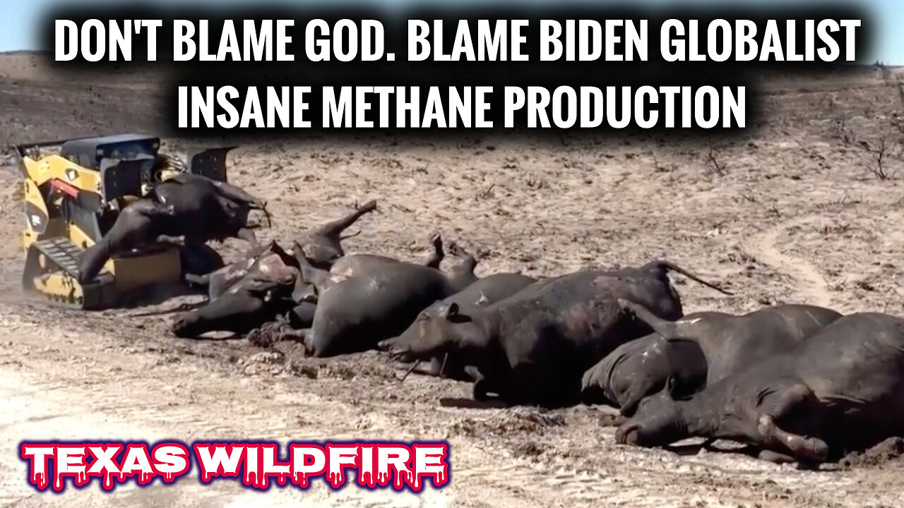 DON'T BLAME GOD! Blame Insane Biden Globalist Satanic Israeli Zionist Nazi WEF