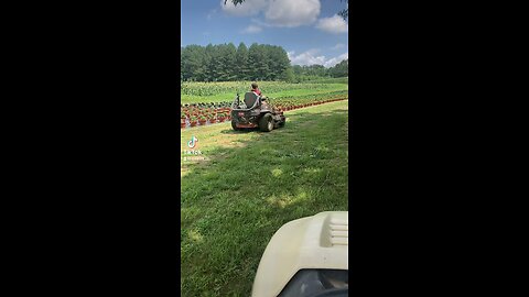 Round Island Farms Reid Alabama