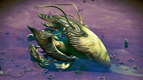 No Man's Sky - Lekitr DK9 - Living Ship Location