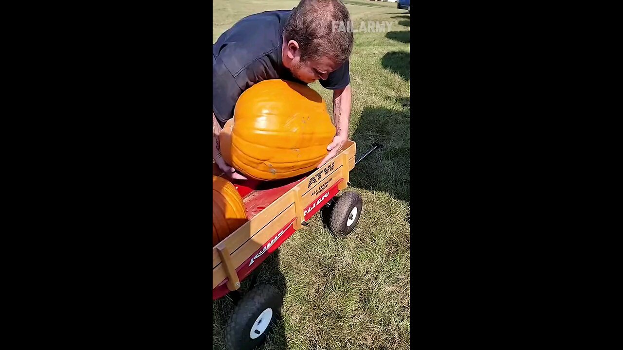 this is why pumpkin season is literally called: fall 🍁😂 #pumpkin #fail