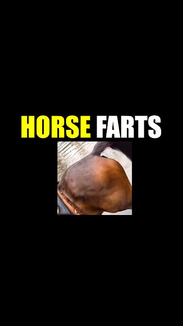 Horse Fart