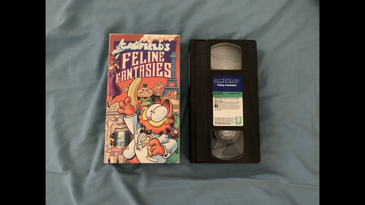 Garfield's Feline Fantasies (1993 VHS)