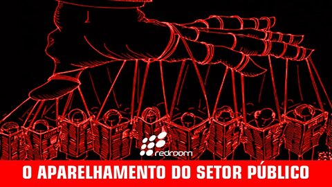 O APARELHAMENTO DO SETOR PÚBLICO (RACCOONING RACCOON)