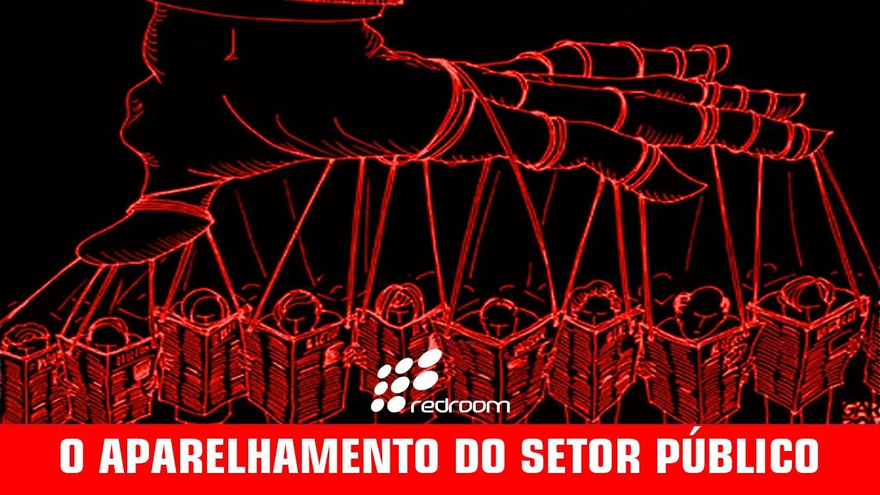 O APARELHAMENTO DO SETOR PÚBLICO (RACCOONING RACCOON)