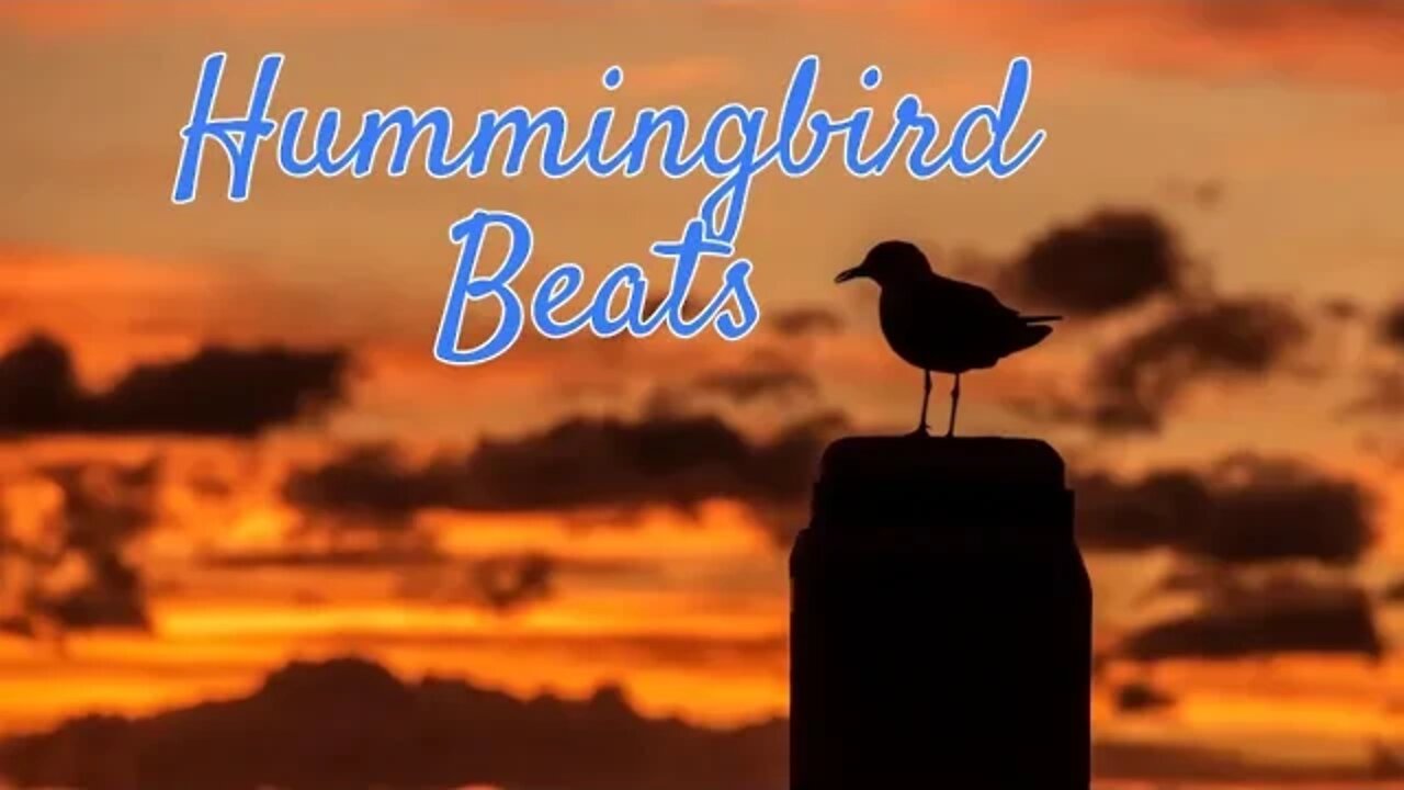 Onnnn by Barradeen (No Copyright Music)