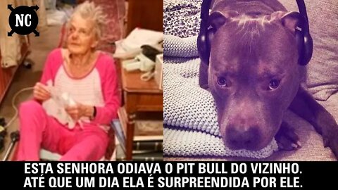 Esta senhora não gostava do Pit Bull do vizinho. Até que um dia ela é surpreendida por ele