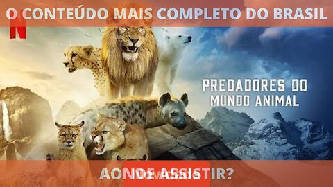 Aonde assistir a série PREDADORES DO MUNDO ANIMAL