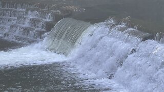 Salmon run Humber River 2022 edition 2