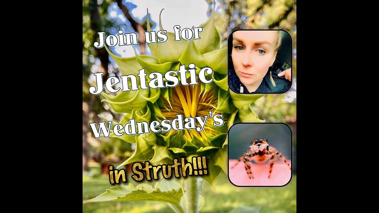 Struth!!! Jentastic Wednesdays Episode 1