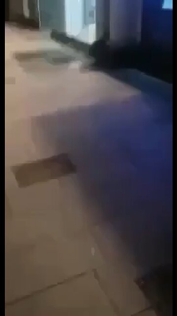 Clone card cashout at the atm machine TAPN for yours hittin💥💯💰💼🏃