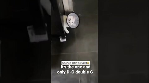 MEME is the one and only D-O double G #shorts