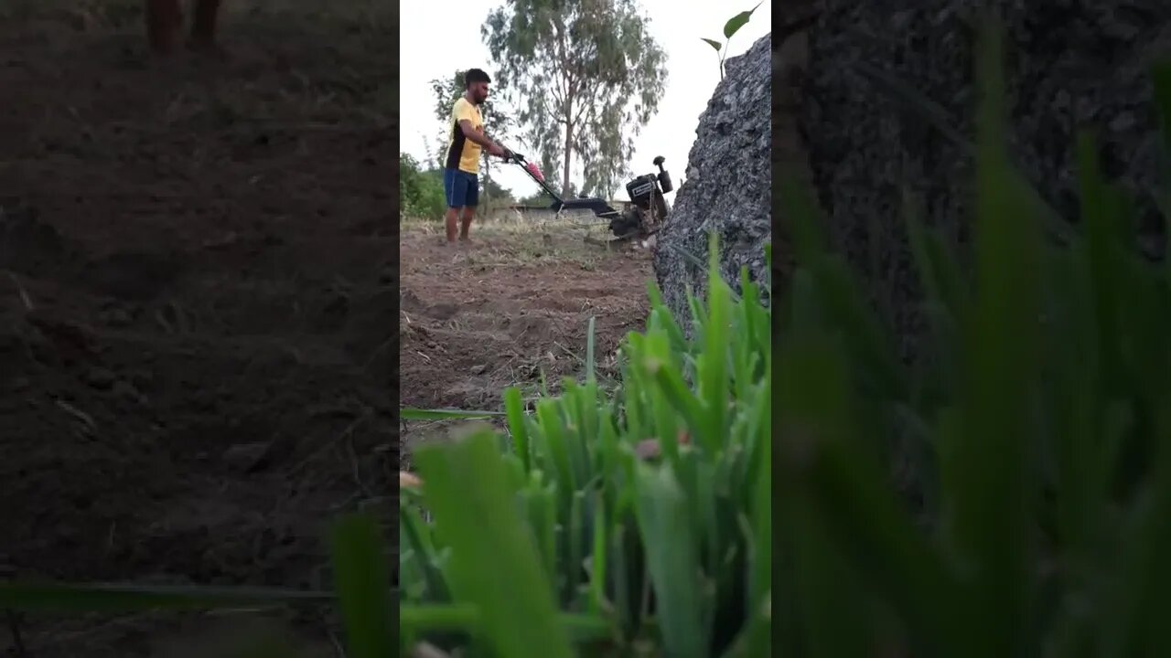 working hard in fields today for your next crop #youtube #shorts