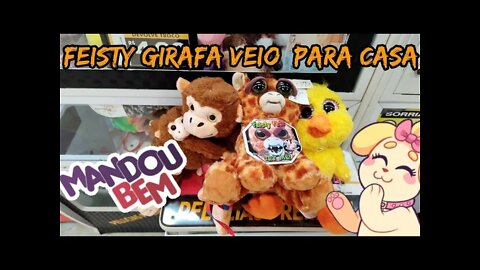 TRAZENDO MAIS UM FEISTY PETS GIRAFA PARA CASA 👏👏👏🦒🦒🦒