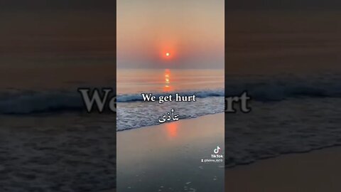 we are human...#facts #fact #factvideo