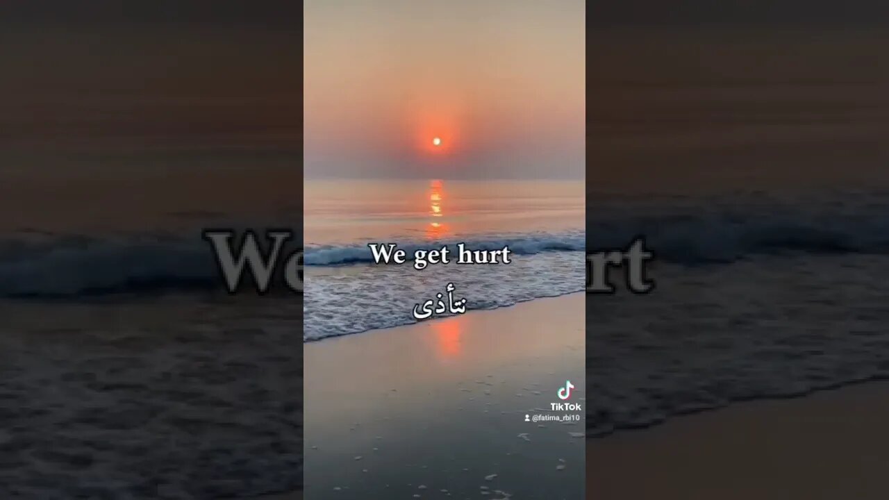 we are human...#facts #fact #factvideo