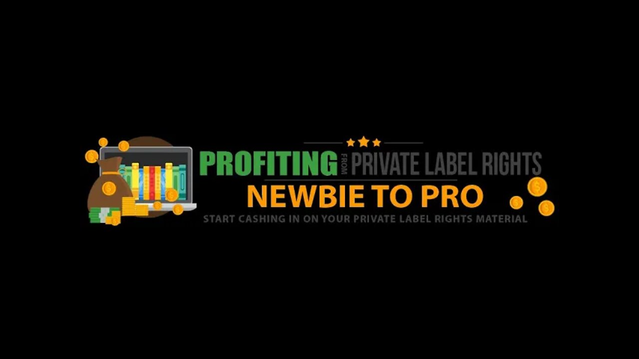 Profiting From Private Label Rights - PLR Rights Newbie to Pro