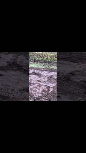 Visiting Arthur the rescue horse’s grave. We miss you old man 💔🥲