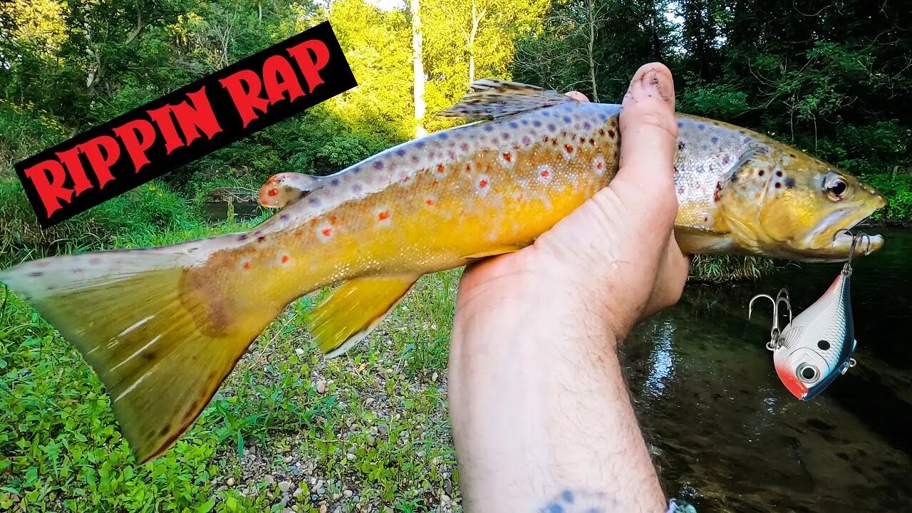 Fishing BIG Rapalas for BIG Trout