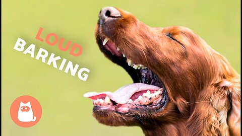 Dogs Barking Sound Effect