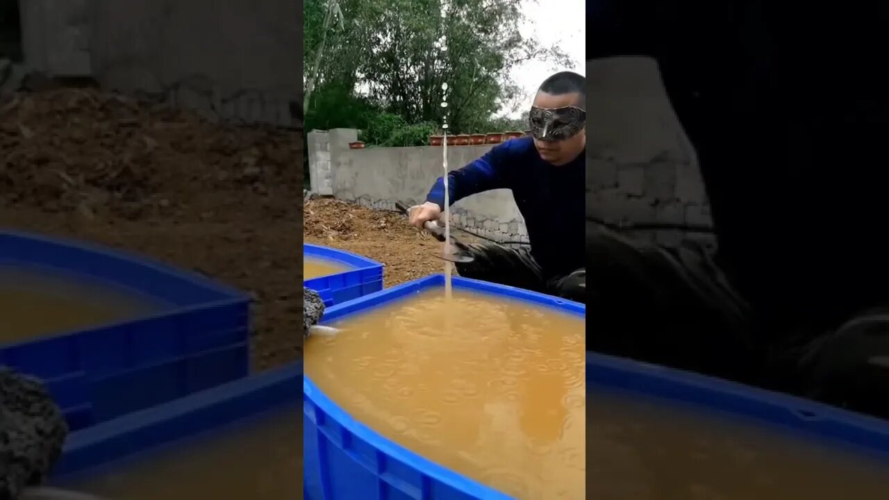 Unbelievable Skills