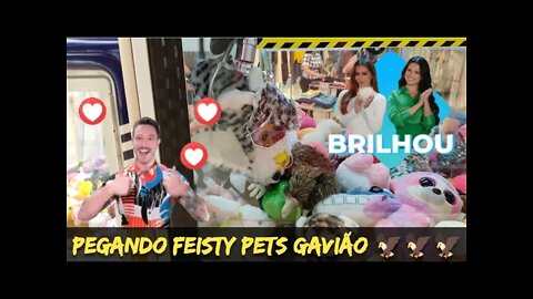 PEGANDO MAIS UM FEISTY PETS 🦅🦅🦅